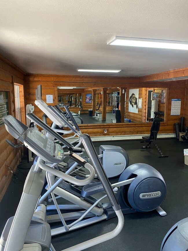 Gym - Blue Sky Lofts