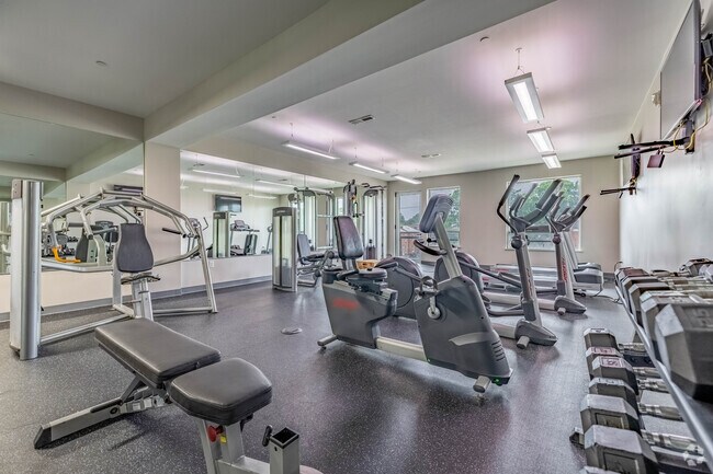 Gimnasio - Vue 180