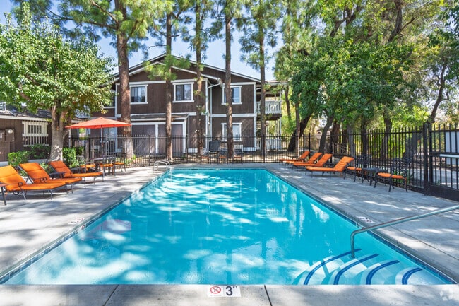 Pool - Vantage Point Apartments