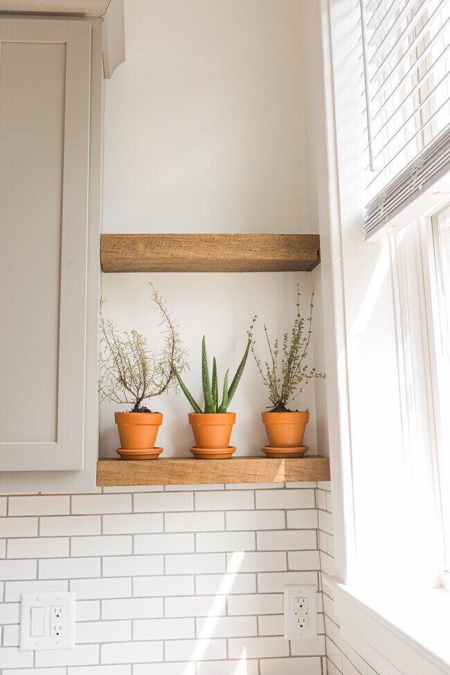 Custom reclaimed shelves...great light for growing herbs! - 3636 Commonwealth Ave
