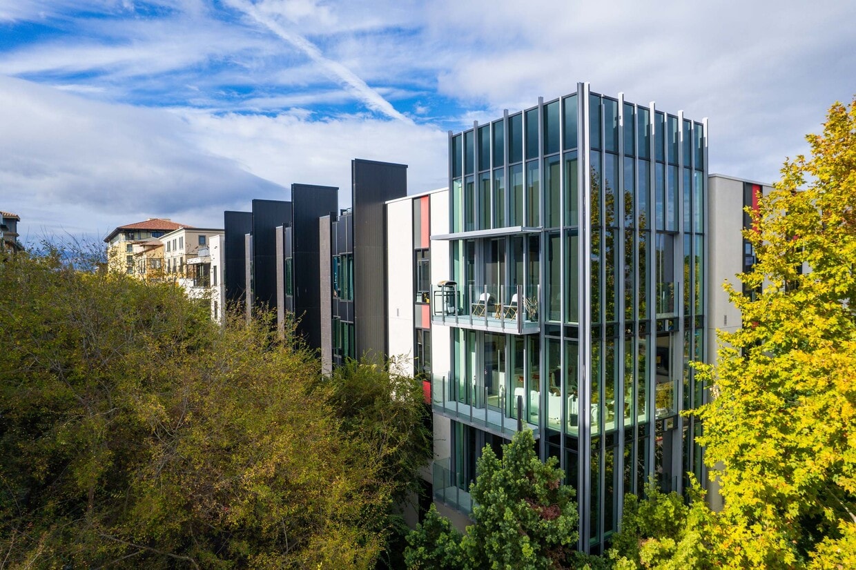 Primary Photo - Levare