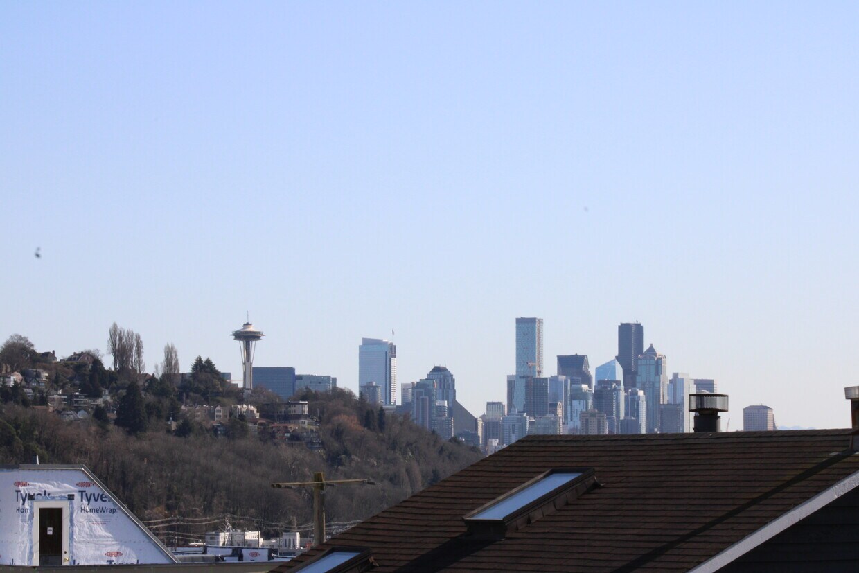 Deck view - 2325 W Crockett St