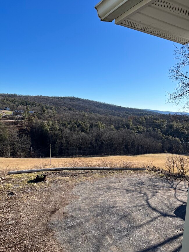 View from apartment - 515 Spring Run Rd