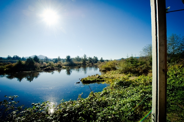 View of estuary behind the units - 925 Avenue S