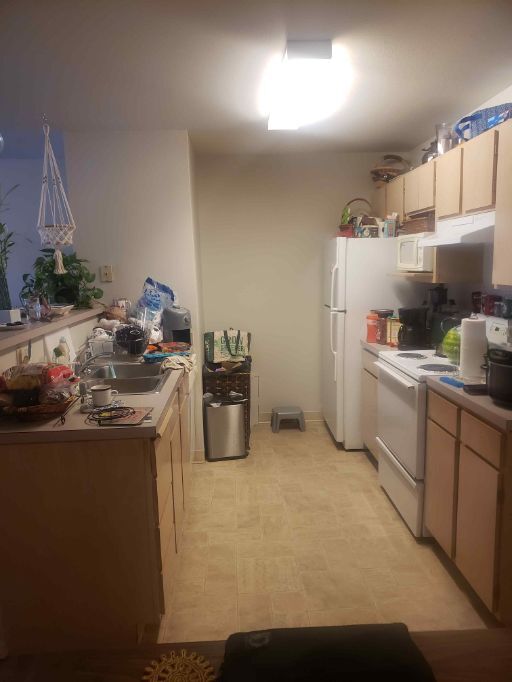 1310 W A St, Moscow, ID 83843 Townhome Rentals in Moscow ID