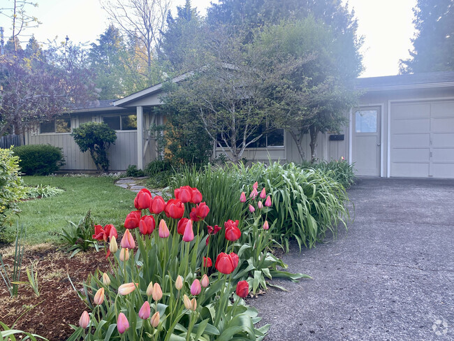 Building Photo - 305 Rustic Pl
