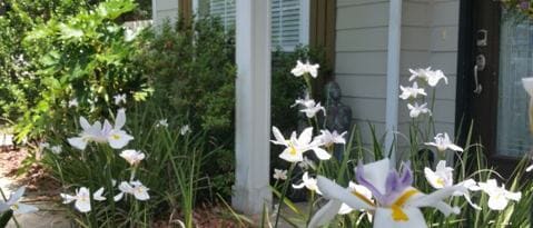 Building Photo - 76 Beacon Point Dr