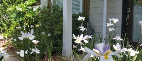 Foto del edificio - 76 Beacon Point Dr