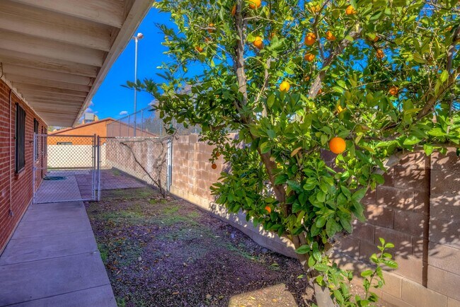 Building Photo - 417 E Jacinto St