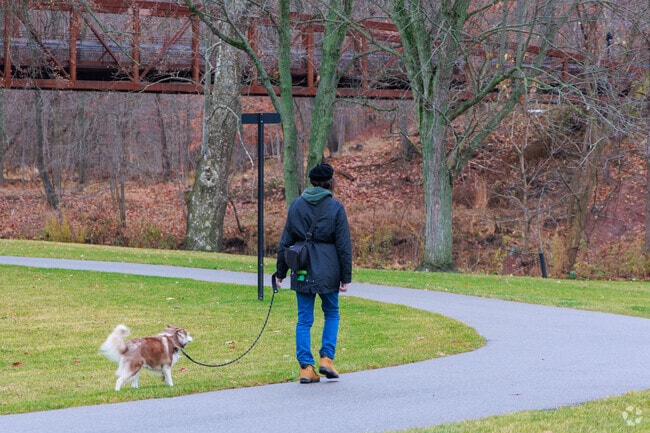 Cascade Park has plenty of places to take your dogs for a walk.