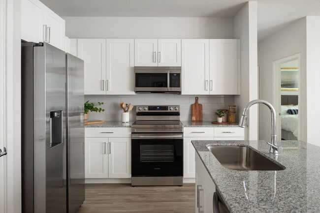 Franz-31 - The Standard at Franz