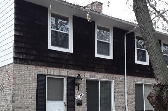 3120 Gwen - Front Entrance - 3120 Gwen Ct