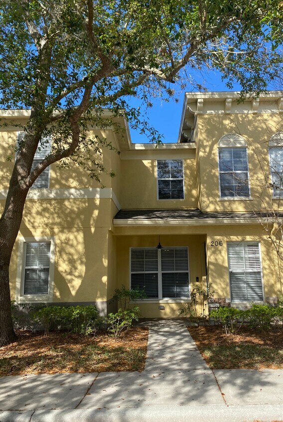 206 Dragons Fire Plz, Valrico, FL 33594 Townhouse for Rent in Valrico, FL
