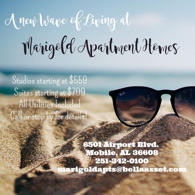 Interior Photo - Marigold Apartments