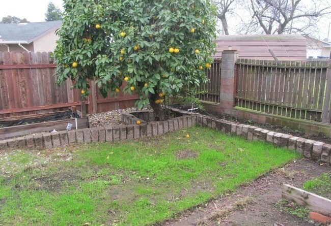Building Photo - Super Cute 3/2 Rancho Cordova Home!! **Ple...