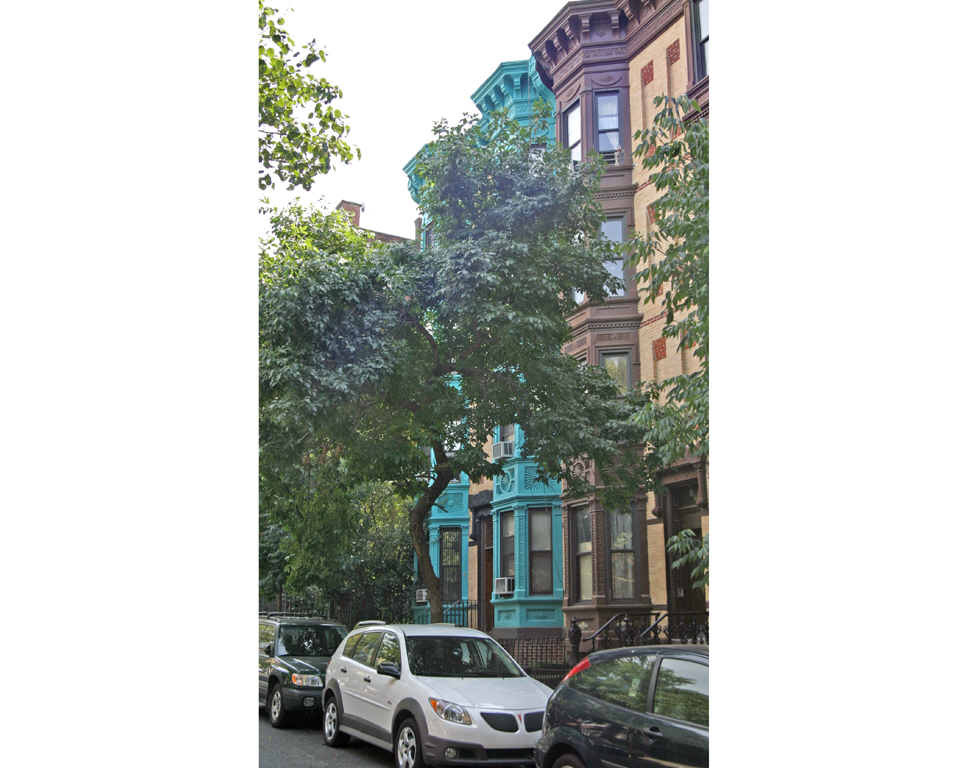 Building Photo - 238 8th St