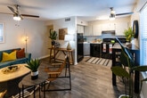 Located at 1701 Forest Ave in Knoxville, Tennessee, this single-story unit offers a practical and well-organized layout suited for everyday living. The open-concept living and kitchen area forms the heart of the space, where wood-look flooring runs continuously underfoot, creating a cohesive and clean aesthetic. The living area provides generous room for seating arrangements and casual dining, with a windowed entry door that invites natural light into the space.

The kitchen is efficiently designed with white upper cabinetry, gray lower cabinets, and light countertops that wrap around a corner configuration. Black appliances—including a range, microwave, dishwasher, and refrigerator—offer a bold contrast against the lighter cabinetry. A ceiling fan overhead adds practical comfort to the main living area.

Multiple bedrooms branch off from the common areas, each featuring plush carpeting and windows fitted with blinds for light control and privacy. The bedrooms offer comfortable proportions, with wall space suitable for furniture and décor. Each room maintains a calm, neutral palette that creates a restful atmosphere.

The bathroom is clean and functional, featuring a shower-tub combination, a vanity with storage, and wood-look flooring that echoes the common areas. Overall, the unit presents a straightforward, livable design with consistent finishes throughout.