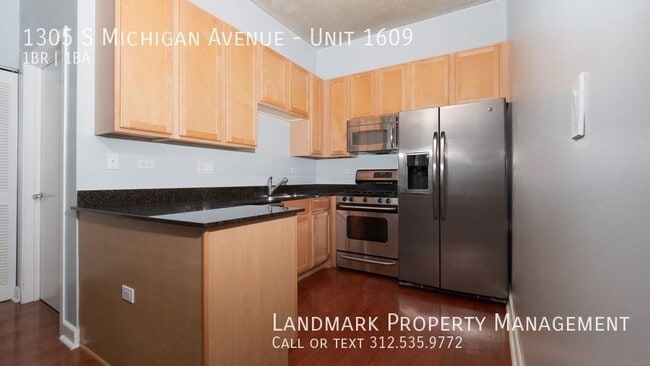 Building Photo - 1305 S Michigan Ave #1609