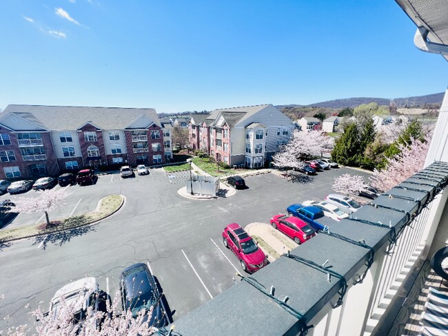Building Photo - 2505 Hemingway Dr