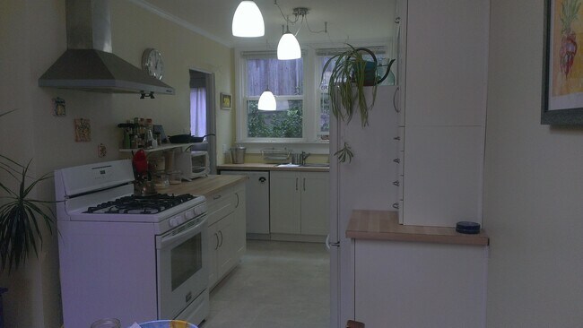kitchen with windows towards back patio - 715 Grafton Ave
