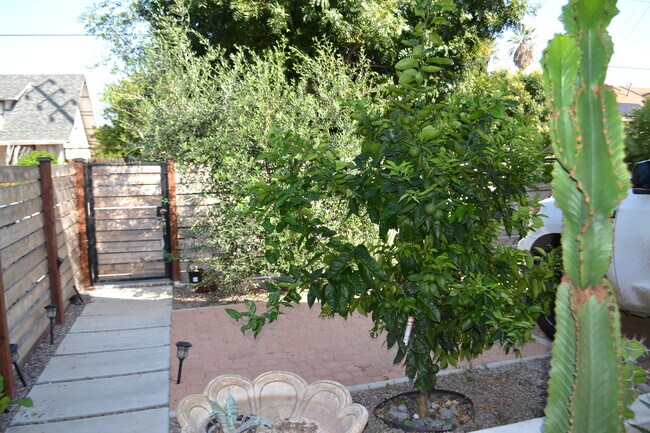 Front yard - 2015 Workman St