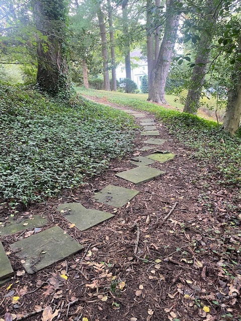 Walkway to Entrance from Street with ample parking - 4000 52nd St NW
