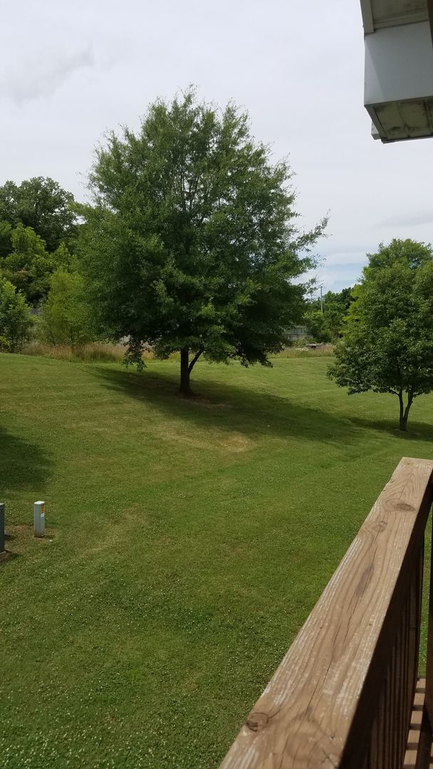 Building Photo - 2 Bedroom 2 Bath loft Apartment Branson