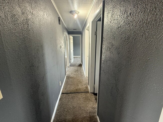 Building Photo - Check Out this Renovated House in a Quiet Neighborhood with a Large Yard!