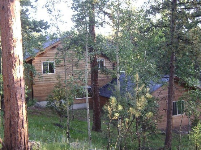 Building Photo - Great Mountain Home in Bailey!