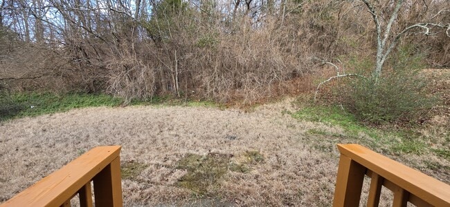 Foto del edificio - 2323 Ilolo St