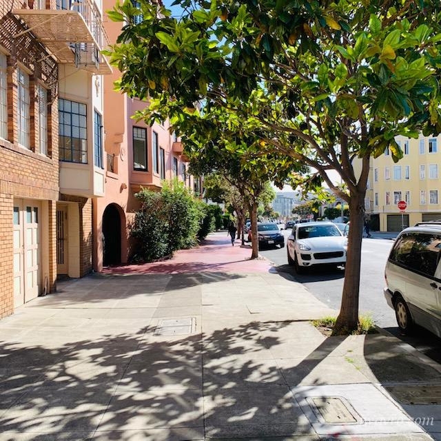 Building Photo - 179 Alhambra St