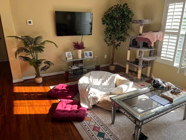 Foto del edificio - 6261 Duck Key Ct