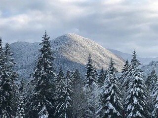 A beautiful winter day - 5148 Mount Pleasant Rd
