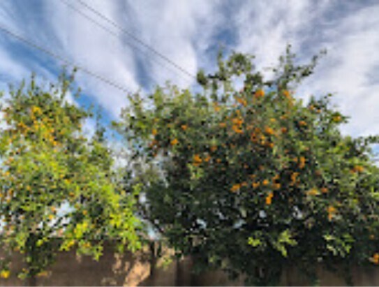 Foto del edificio - 7800 Fairchild Ave