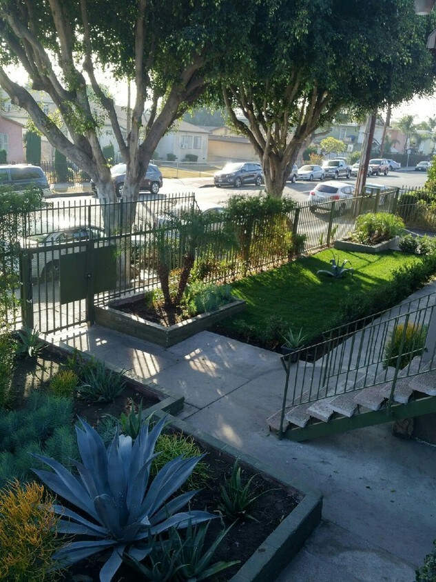 Front Garden - 3155 El Segundo Blvd