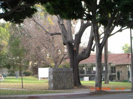 Alternate Building View 1 - The marquet