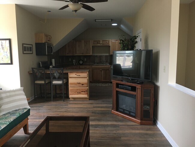 TV con chimenea eléctrica - 203 Three Runs Plantation Dr