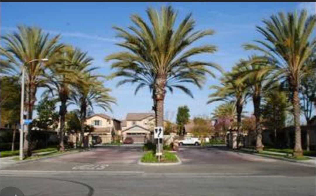 Primary Photo - 1937 Canova Ln