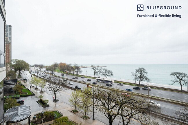 Foto del edificio - 1400 N Lake Shore Dr