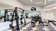 Located at 14201 Cyber Place in Tampa, FL, this professionally equipped fitness center spans two floors, with the main level offering a generously sized workout space and a smaller secondary level above. The facility is designed to support a full range of training disciplines, seamlessly organized into distinct zones.

The main floor is anchored by a bright cardio area lined with large arched windows that frame lush views of surrounding palm trees, flooding the space with natural light. A row of treadmalls, ellipticals, and a StairMaster stair climber provides ample options for cardiovascular training. Ceiling fans complement the linear LED lighting throughout, maintaining a comfortable workout environment.

The strength training zone features a Hoist multi-station cable machine, a full dumbbell rack with an adjustable bench, a barbell squat rack, and a leg press machine. Floor-to-ceiling mirrors amplify the sense of space and allow for form monitoring. Functional training accessories — including battle ropes, a mini trampoline, medicine balls, and a heavy punching bag — add versatility to the workout options.

A dedicated spin studio accommodates Peloton bikes paired with wall-mounted screens and is lit by a distinctive circular pendant light, offering an immersive cycling experience. The entire facility is unified by a bold blue, tan, and white checkered carpet tile flooring, contributing to a modern and energetic aesthetic throughout.