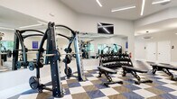 Located at 14201 Cyber Place in Tampa, FL, this professionally equipped fitness center spans two floors, with the main level offering a generously sized workout space and a smaller secondary level above. The facility is designed to support a full range of training disciplines, seamlessly organized into distinct zones.

The main floor is anchored by a bright cardio area lined with large arched windows that frame lush views of surrounding palm trees, flooding the space with natural light. A row of treadmalls, ellipticals, and a StairMaster stair climber provides ample options for cardiovascular training. Ceiling fans complement the linear LED lighting throughout, maintaining a comfortable workout environment.

The strength training zone features a Hoist multi-station cable machine, a full dumbbell rack with an adjustable bench, a barbell squat rack, and a leg press machine. Floor-to-ceiling mirrors amplify the sense of space and allow for form monitoring. Functional training accessories — including battle ropes, a mini trampoline, medicine balls, and a heavy punching bag — add versatility to the workout options.

A dedicated spin studio accommodates Peloton bikes paired with wall-mounted screens and is lit by a distinctive circular pendant light, offering an immersive cycling experience. The entire facility is unified by a bold blue, tan, and white checkered carpet tile flooring, contributing to a modern and energetic aesthetic throughout.