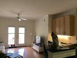 Foto del edificio - 1 Bedroom 1 Bath Condo in The Regatta - Ja...