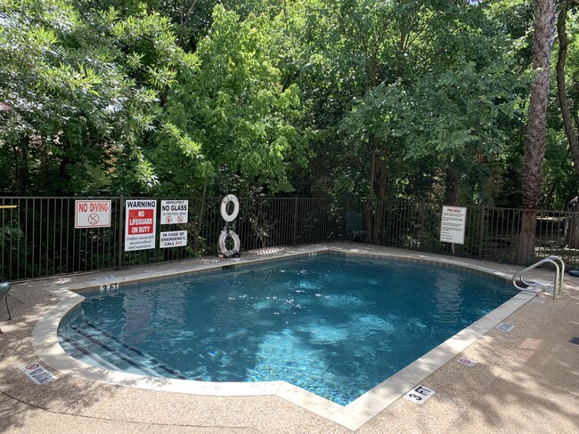 Pool with picnic area and park next to it! 407 E 45th St (45th and Duval) Austin 78751 - 407 E 45th St #116