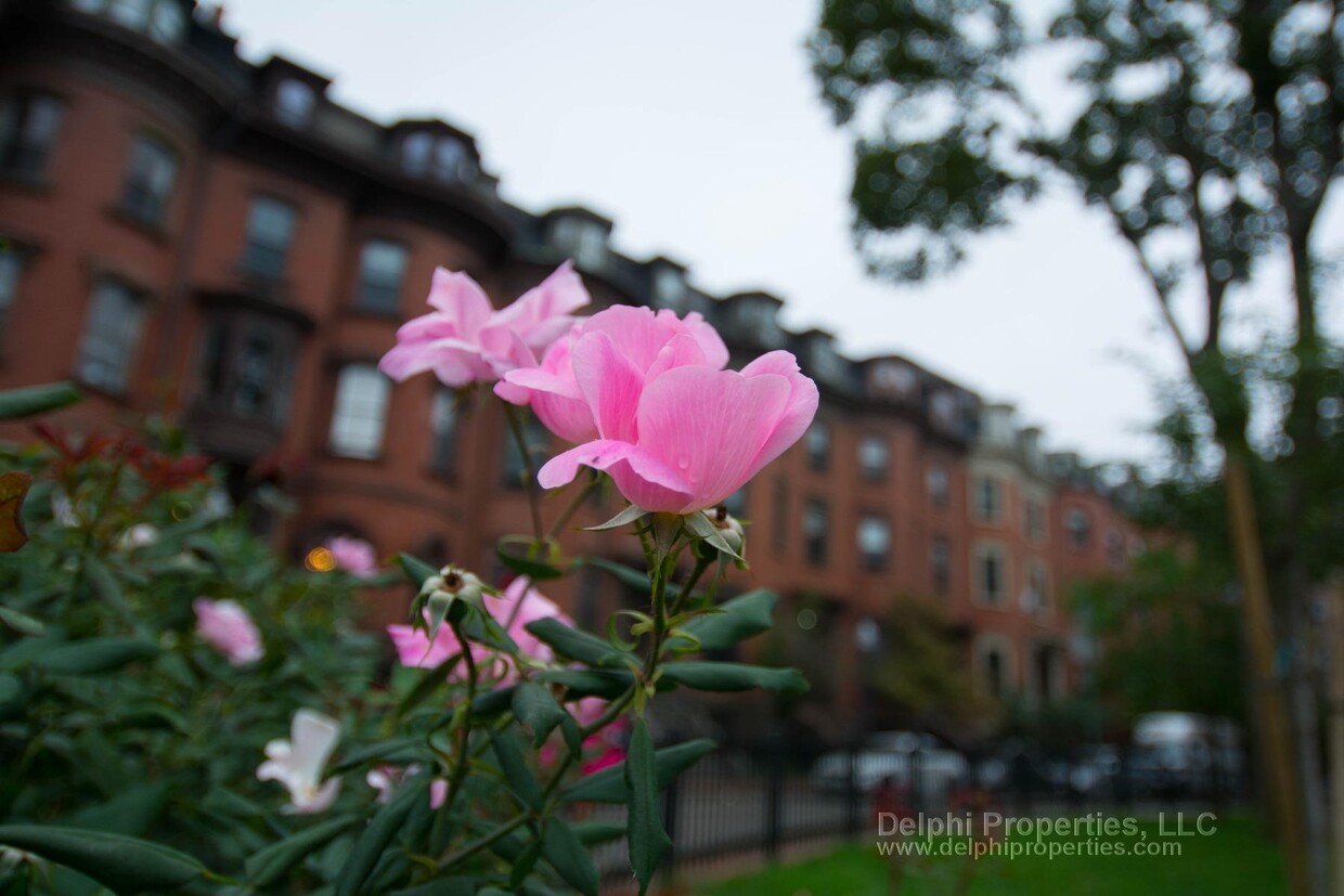 Foto del edificio - 550 Massachusetts Ave