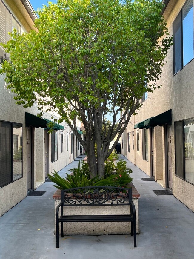Building Photo - elm226