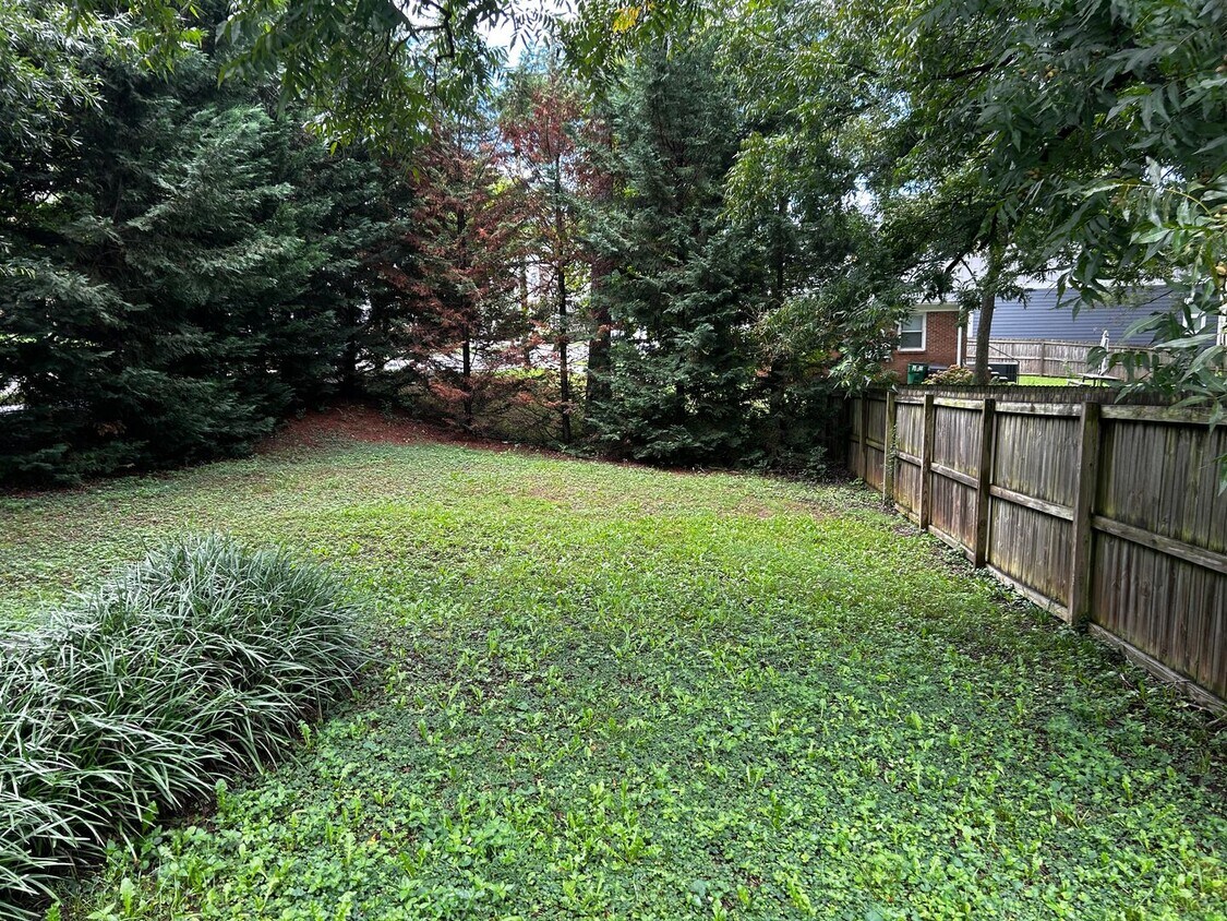 Foto del edificio - Beautiful 3 Bedroom Home in Belmont Neighb...