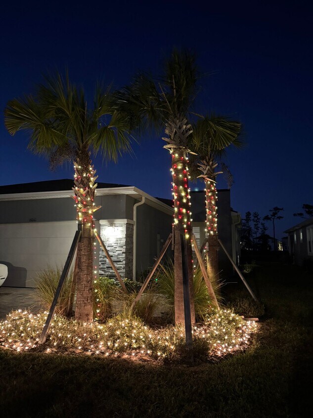 Foto principal - 6041 Timberdale Ave