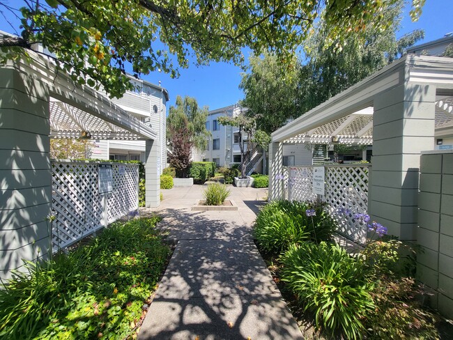 Gazebo BBQ Area - Civic Plaza Apartments