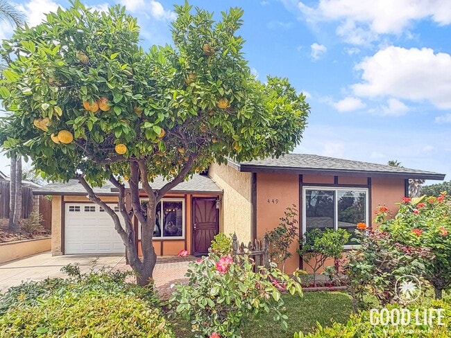 Foto del edificio - Renovated San Marcos Home with Fruit Trees & Large Yard
