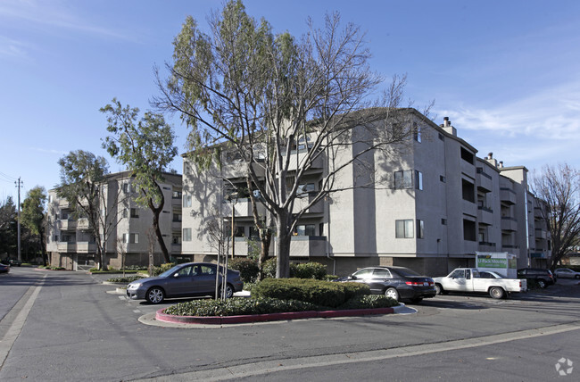 Primary Photo - Bridgeporte